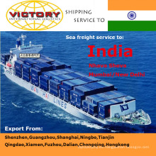 Carga marítima de China a Nhava Sheva, Mumbai, New Dehlhi, India (transporte marítimo)